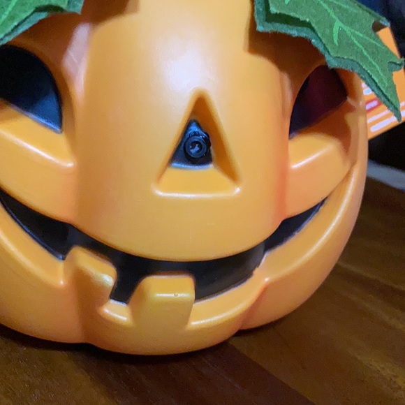 Hide and Eek Animated Halloween Pumpkin with Creepy Dancing and Singing Vines 🎃 - Picture 11 of 16